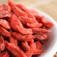 Venta caliente secada 350-380 granos / 50 g de bayas de Goji